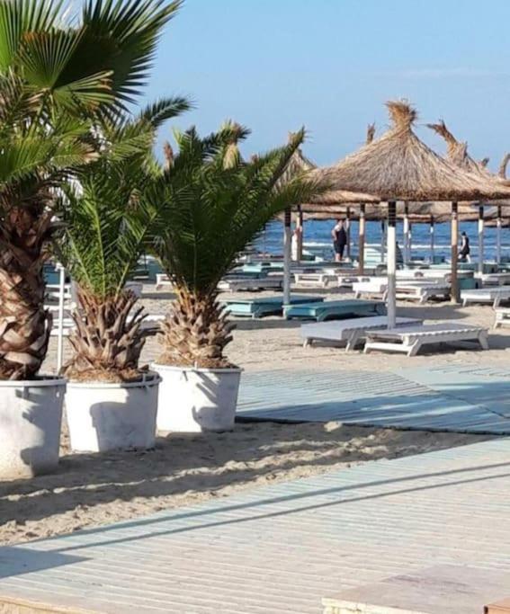 Alezzy Beach Apartament Prima Linie La Mare Năvodari Esterno foto