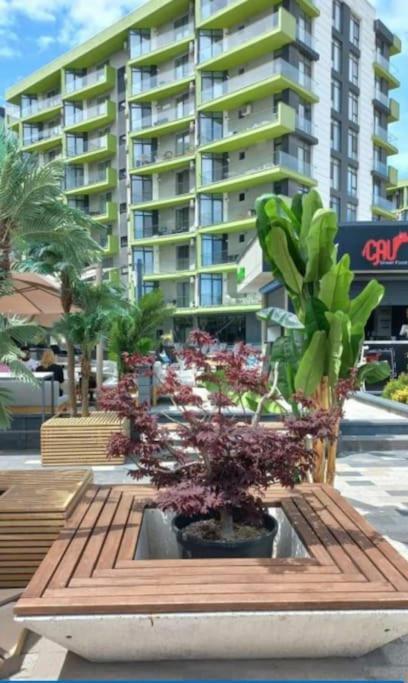 Alezzy Beach Apartament Prima Linie La Mare Năvodari Esterno foto